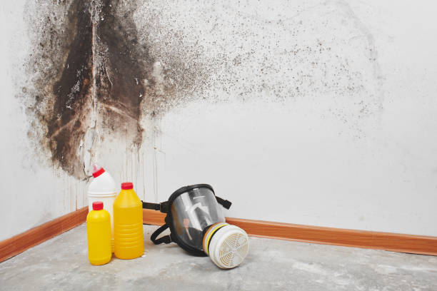 Chowchilla, CA Mold Removal Company