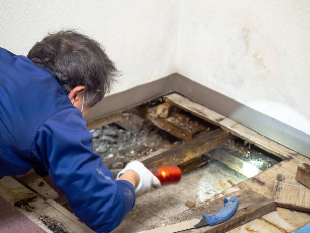 Best Emergency Mold Removal  in Chowchilla, CA