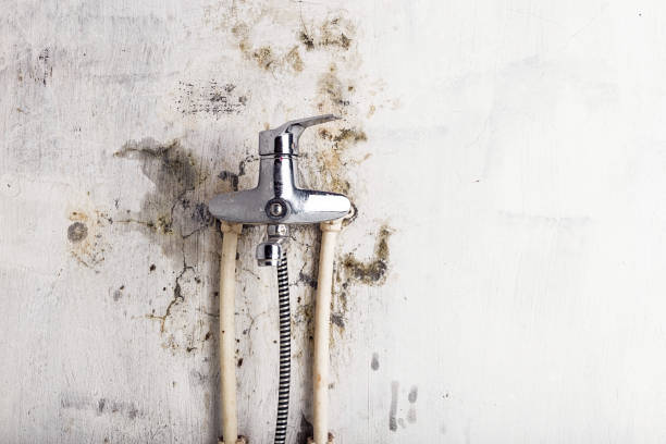 Best Residential Mold Removal  in Chowchilla, CA