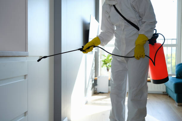 Best Certified Mold Removal  in Chowchilla, CA