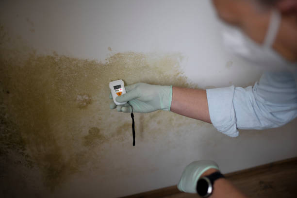 Best Crawl Space Mold Removal  in Chowchilla, CA