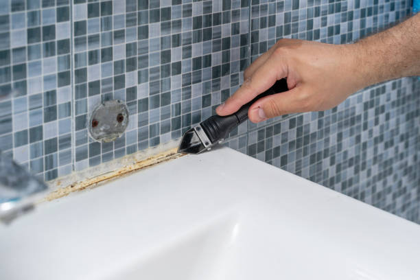 Best Fast Mold Removal  in Chowchilla, CA