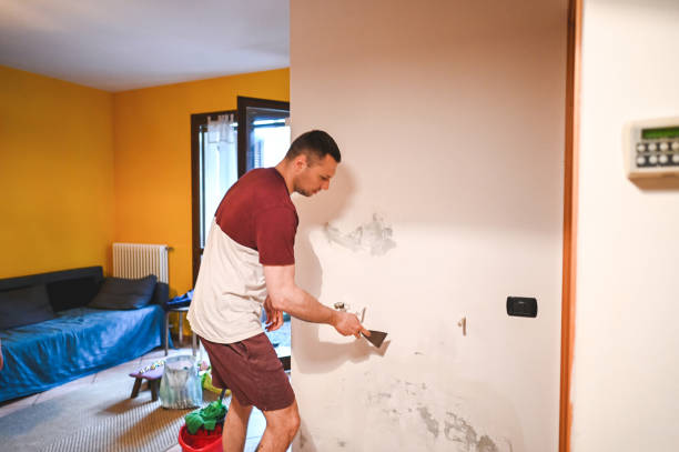 Best Professional Mold Removal  in Chowchilla, CA