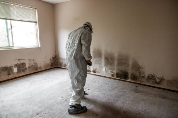 Best Residential Mold Removal  in Chowchilla, CA
