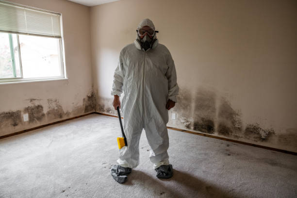 Best Certified Mold Removal  in Chowchilla, CA